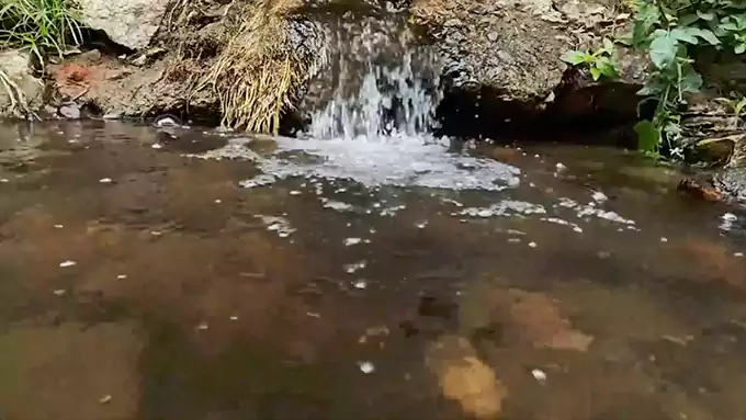 Bruit Blanc d’Arroyo Clair de 10 Heures - Sons d’Eau et Oiseaux pour Dormir et Se Concentrer