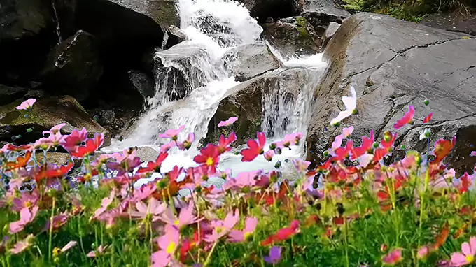 10 Heures de Sons de Cascade | Eau Coulant sur des Rochers Moussus | Bruit Blanc Naturel pour Sommeil et Détente