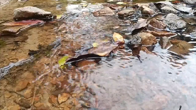 Bruit Blanc de Ruisseau de 10 Heures - Sons d’Eau Stables pour Dormir et Méditer