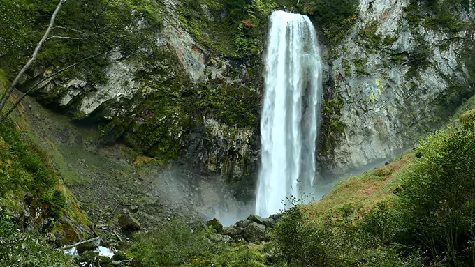10 Heures de Cascade de Montagne | Sons de Forêt d'Été avec Chants d'Oiseaux | Bruit Blanc Naturel pour Sommeil et Méditation